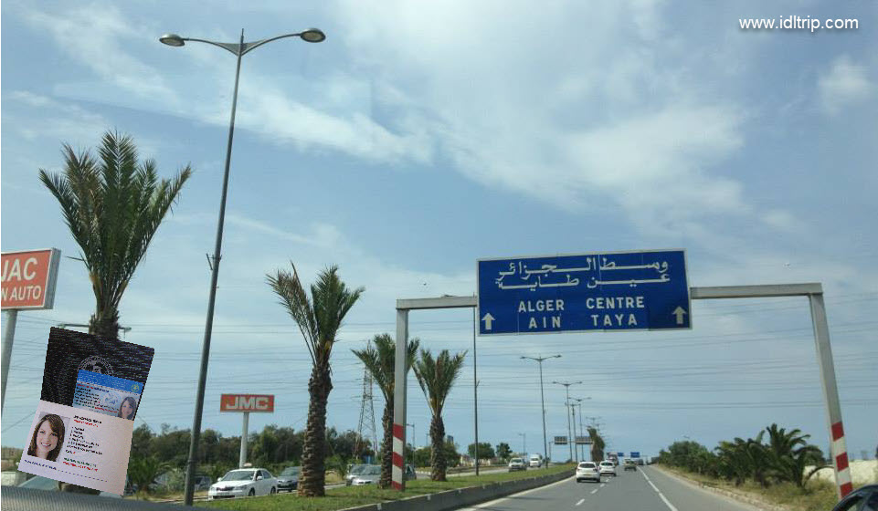 القيادة بأمان في الجزائر
