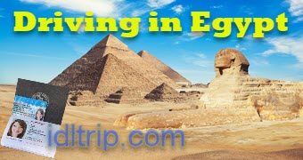 Вождение в Египте блог