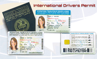 International Driving Permit & License