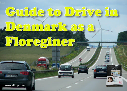 Guía de conducción en Dinamarca