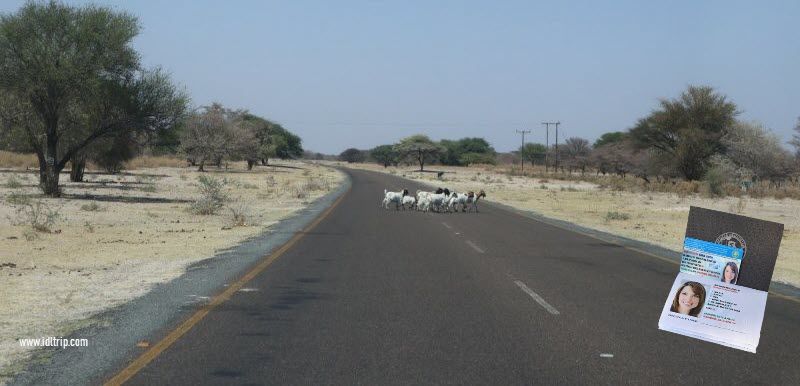 Driving in Botswana