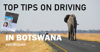 Blog LES MEILLEURS CONSEILS SUR LA CONDUITE AU BOTSWANA