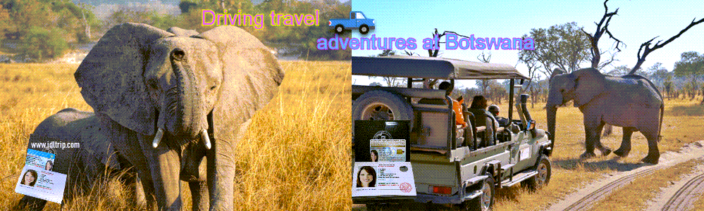 Aventuras de viaje en automóvil en Botswana