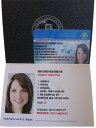 International driver's license. (document style: regular)