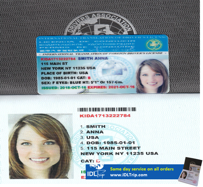 International Drivers License 